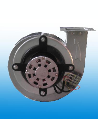 �����_�L�C