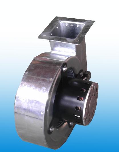 �����_�L�C