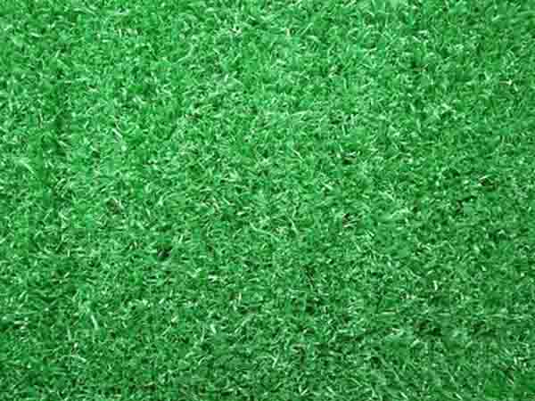 ����-2023ADA