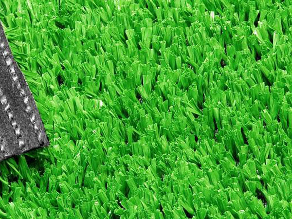 ����-2016ADA