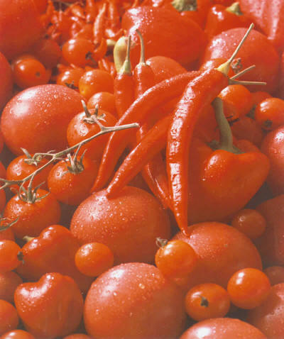 �a(ch��n)Ʒչʾ