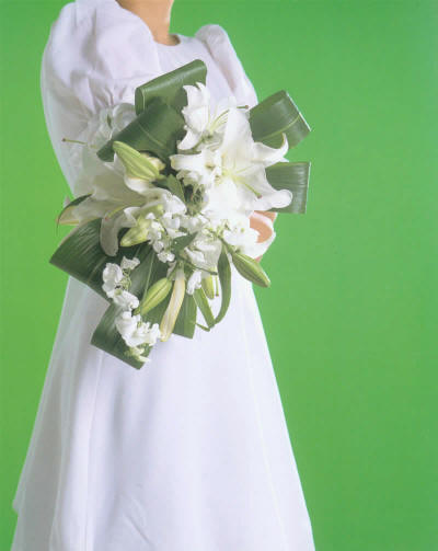 �a(ch��n)Ʒչʾ