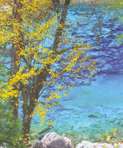 �a(ch��n)Ʒչʾ