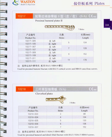 �ӹǰ�ϵ��12