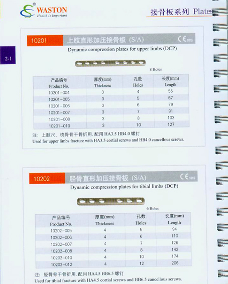 �ӹǰ�ϵ��19