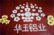 ���XԪƬ�����X�� 5